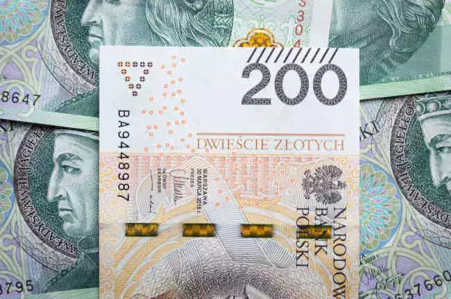 Ciężki rok dla polskiej złotówki. Co będzie się działo z walutami w 2023 roku? 
