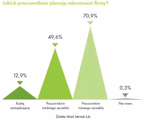 Ankieta: jakich pracowników planują rekrutować firmy