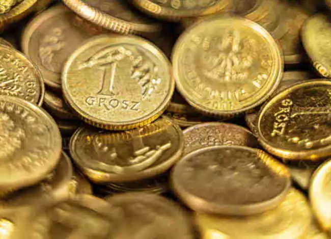 Co czeka złotego w 2023 roku?– komentarz ekspercki Tomasza Gessnera, analityka rynków finansowych, Tavex.