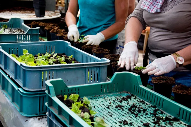 ubezpieczenie agencji pracy tymczasowej