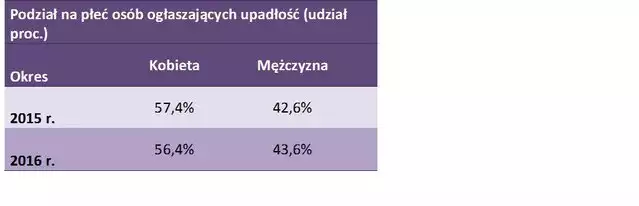 Upadłość konsumencka wykres 3